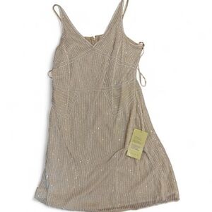 Adrianna Papell Ivory Beaded Evening dress